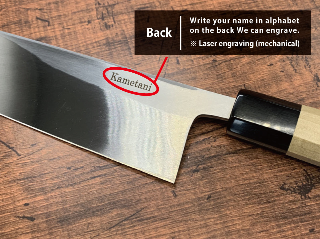 SHIBISI model|handle the fish 240MM|身卸し包丁 朴八角柄
